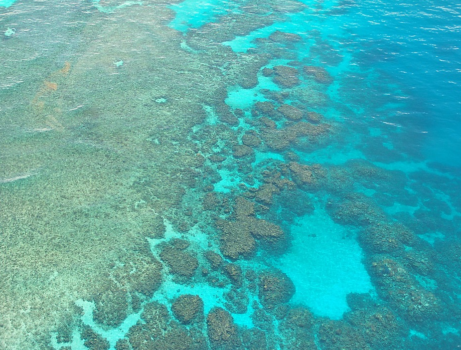 corail barrière Australie
