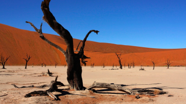 dunes Sossusvlei, Namibie