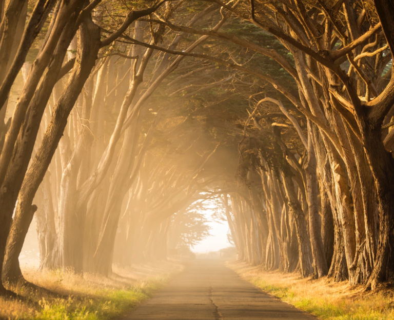 Irlande