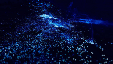 plage étoilée Maldives