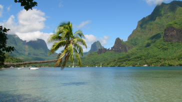 Baie de Cook, Polynésie Française