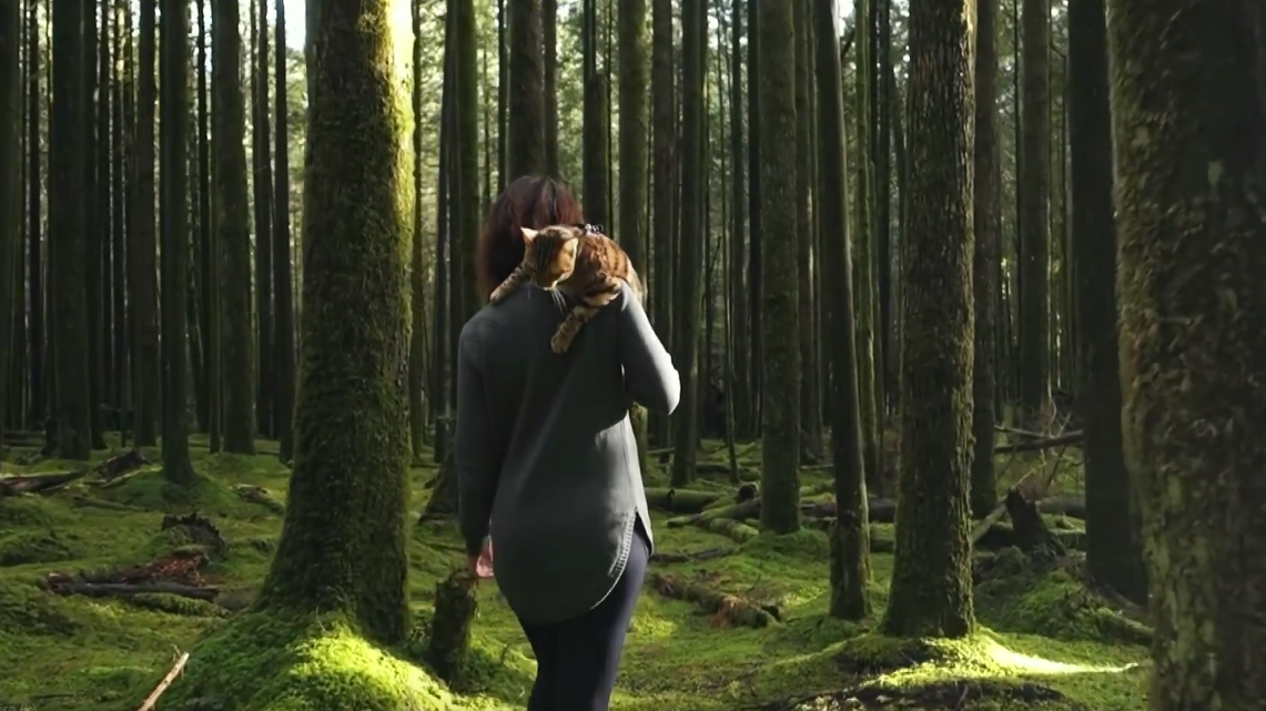 Suki le chat voyageur