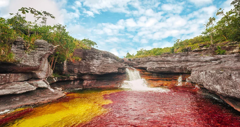 cano-cristales