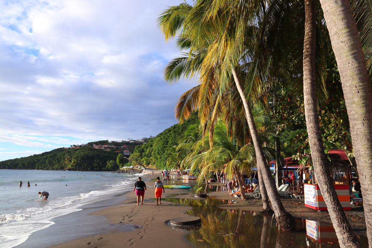 plage de Malendure Guadeloupe sable cocotiers