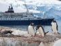 croisières antarctique pingouin