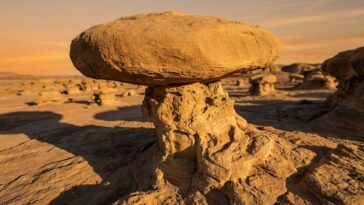 Rochers champignons et formations étranges : l'art de l'érosion différentielle