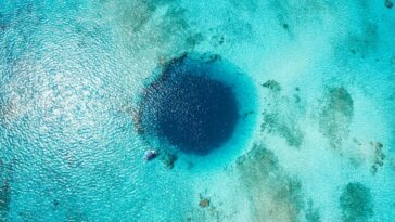Trous bleus : plongée dans les formations océaniques les plus profondes