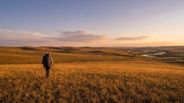 J'ai randonné une semaine en Mongolie sans croiser un seul sentier balisé : le soir où j'ai atteint la vallée de l'Orkhon,...