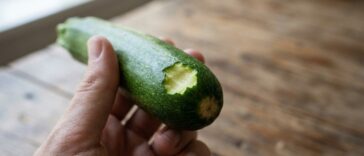 « Je pensais qu'une courgette amère se rattrapait à la cuisson » : pourquoi ce goût est un signal qui impose de la jeter i...