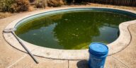 Je rajoutais des galets de chlore dès que ma piscine verdissait par 35 °C : un pisciniste m'a montré pourquoi j'aggravais ...
