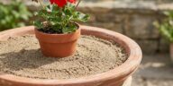 Les anciens versaient toujours du sable dans les coupelles sous les pots : la raison oubliée refait surface avec le mousti...