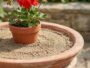 Les anciens versaient toujours du sable dans les coupelles sous les pots : la raison oubliée refait surface avec le mousti...