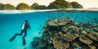 « On y est allé sans rien connaître, on a failli ne plus rentrer » : ce pays entre jungle et fonds marins qui rend accro