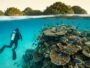 « On y est allé sans rien connaître, on a failli ne plus rentrer » : ce pays entre jungle et fonds marins qui rend accro