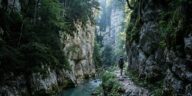 Personne ne pense à y monter : ce plateau du Vercors offre pourtant nuits fraîches et gorges sauvages pendant que la côte ...