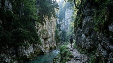 Personne ne pense à y monter : ce plateau du Vercors offre pourtant nuits fraîches et gorges sauvages pendant que la côte ...