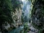 Personne ne pense à y monter : ce plateau du Vercors offre pourtant nuits fraîches et gorges sauvages pendant que la côte ...