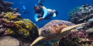 Sous les eaux turquoise de cet archipel du Pacifique se cache le deuxième plus grand lagon du monde, ignoré des voyageurs ...