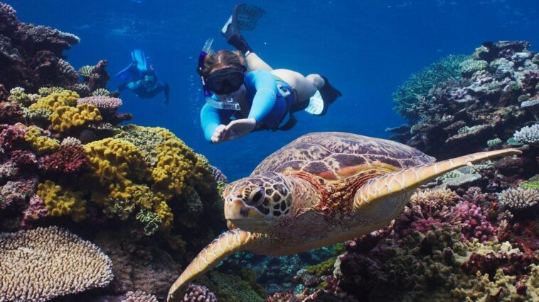 Sous les eaux turquoise de cet archipel du Pacifique se cache le deuxième plus grand lagon du monde, ignoré des voyageurs ...