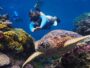 Sous les eaux turquoise de cet archipel du Pacifique se cache le deuxième plus grand lagon du monde, ignoré des voyageurs ...