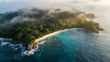 Île North Sentinel interdite : le dernier peuple au monde qui vit coupé de toute civilisation