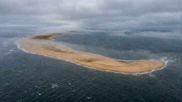 Le Canada a une île de sable de 42 km au large de la Nouvelle-Écosse : ceux qui débarquent sans ce papier repartent par le...