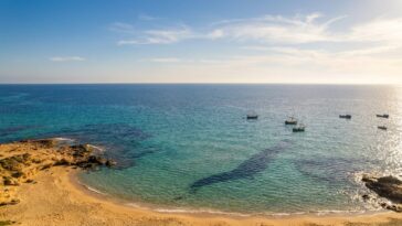 Meilleure période pour visiter les plages d'Algérie : mois par mois, quand la mer est idéale