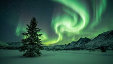On s'obstine tous à réserver Tromsø et Abisko en plein été pour les aurores, alors que c'est une seule ligne du calendrier...