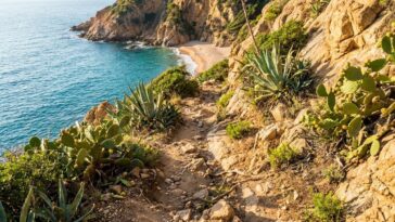 Plage sauvage en Algérie : les spots hors des sentiers battus accessibles sans 4x4