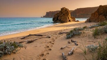 Plage vierge en Algérie sans touristes : les derniers rivages intacts et comment y accéder