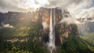 Plus haute cascade du monde : Salto Ángel, 979 mètres de chute au cœur du Venezuela