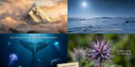 Records naturels du monde : le guide complet des extrêmes de la planète