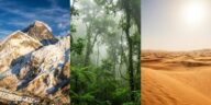 Records naturels en Asie : sommets, déserts et forêts qui dominent tous les classements