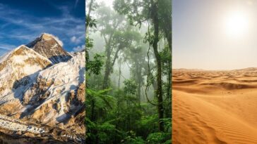Records naturels en Asie : sommets, déserts et forêts qui dominent tous les classements
