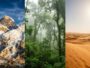 Records naturels en Asie : sommets, déserts et forêts qui dominent tous les classements