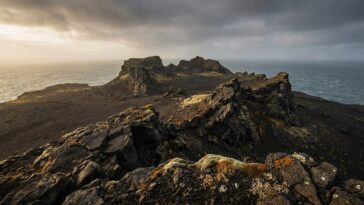 Réserve naturelle interdite d'accès : ces sanctuaires où la nature vit sans un seul visiteur