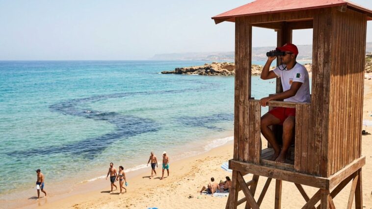 Sécurité sur les plages d'Algérie : courants, méduses et zones surveillées à connaître