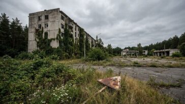 Site nucléaire interdit d'accès : ces zones fantômes que l'homme a dû abandonner à la nature