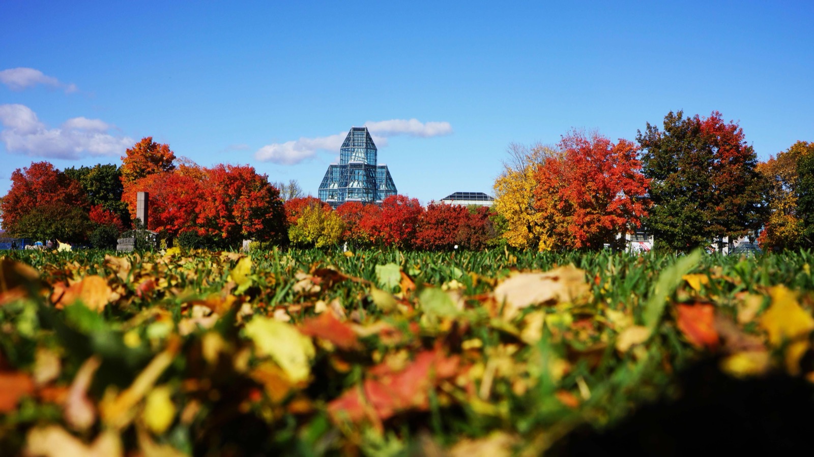 Le Musée des beaux-arts du Canada à Ottawa entouré d'érables rouges en automne