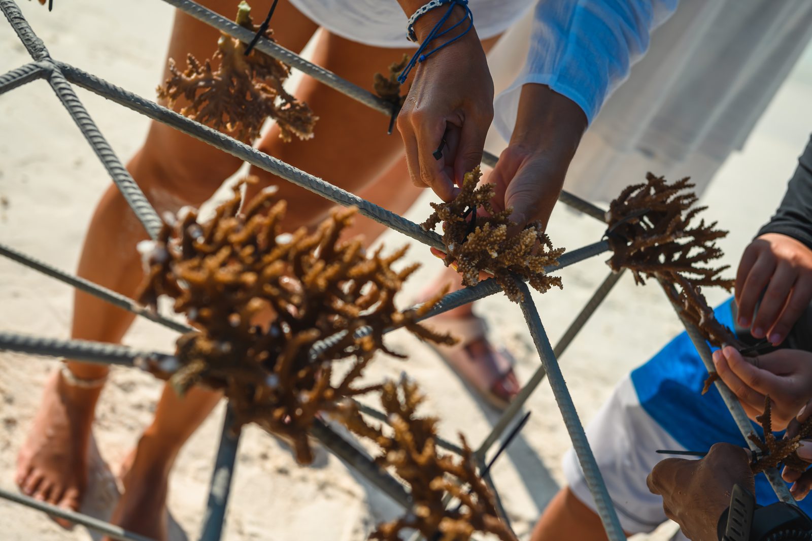 Sun Siyam Resorts - Photo officielle